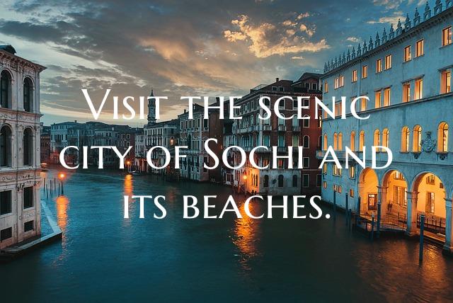 Visit the scenic city of Sochi and its beaches.