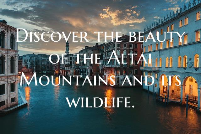 Discover the beauty of the Altai Mountains and its...